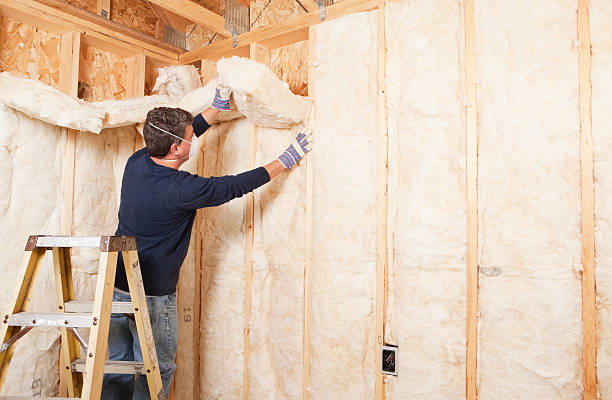 Eco-Friendly or Green Insulation Solutions in Grant Valkaria, FL